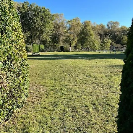 Gezellig Huis Met Open Haard En Fenomenale Tuin Koksijde